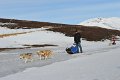 Dog sledding (09)